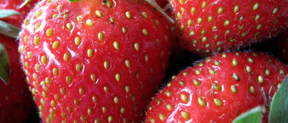 Erdbeeren