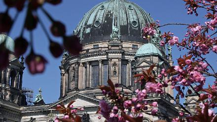 Frühling