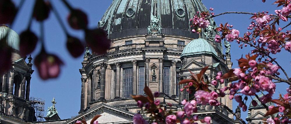 Frühling