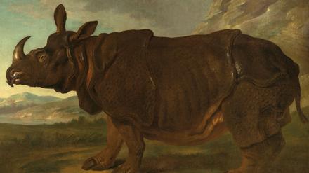 Nashorn