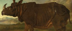 Nashorn