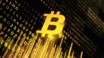 Wie Sie erkennen können, wann der Bitcoin wieder steigt.