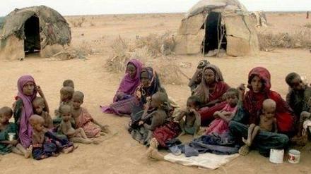 213131_3_hunger.jpg