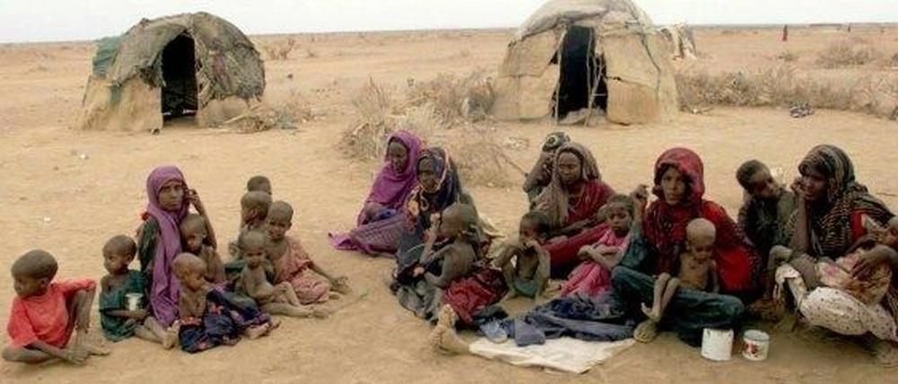213131_3_hunger.jpg