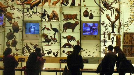 Naturkundemuseum