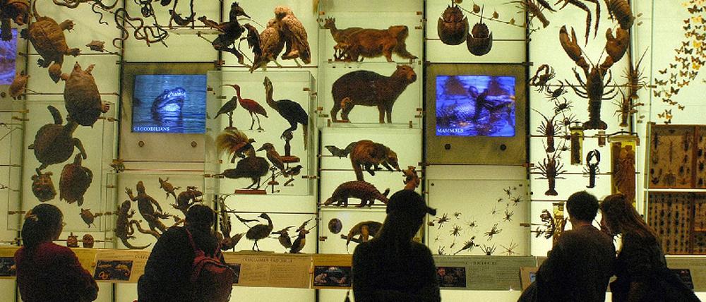 Naturkundemuseum