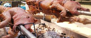 Grillen