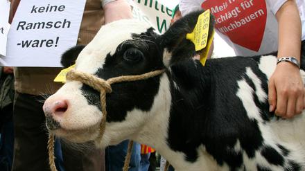 Milch