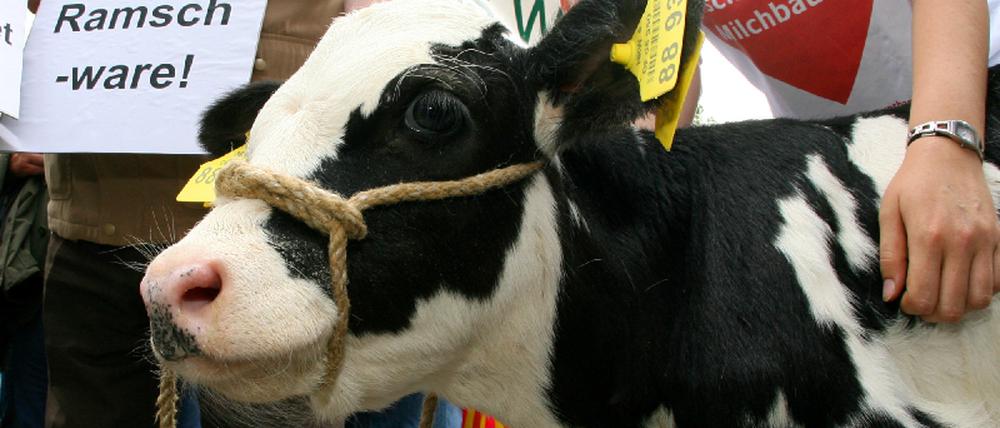 Milch