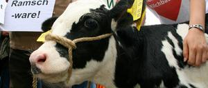 Milch