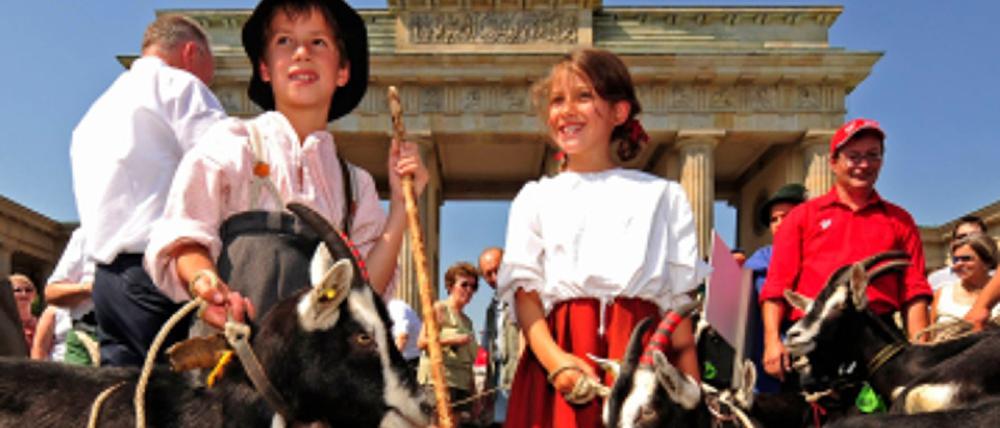 Ziegen