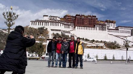 lhasa