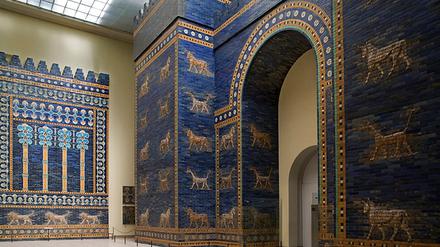 220364_0_ab73bab8