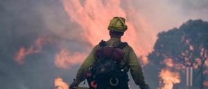 Waldbrände in Kalifornien