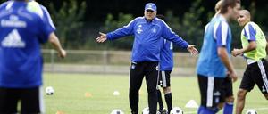 Training Hamburger SV