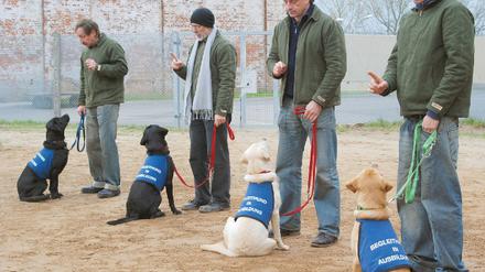 Underdogs