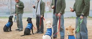 Underdogs
