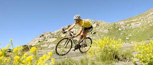 Frank Schleck