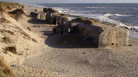 224367_0_44755ab3