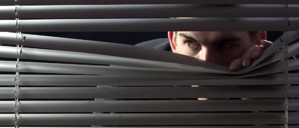 Spion