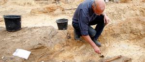 skelette petri-kirche