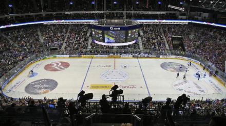 Eisbären