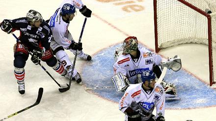 Eisbären