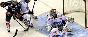 Eisbären