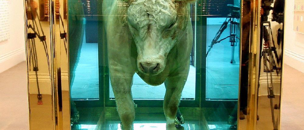 Damien Hirst