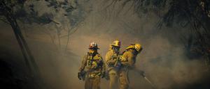 Waldbrand Kalifornien