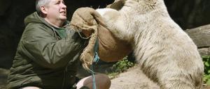 Nachfolger für Ziehvater von Eisbär Knut gefunden