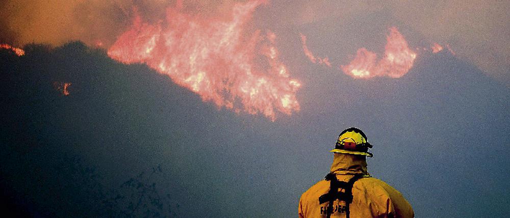 Waldbrand