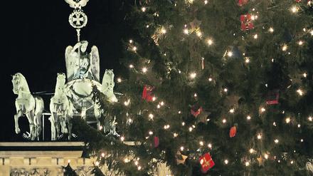 Weihnachtsbaum Quadriga