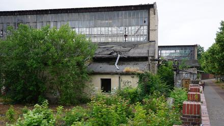 In diesen Hallen wurden im Ersten Weltkrieg Flugzeuge für die Luftwaffe gebaut.