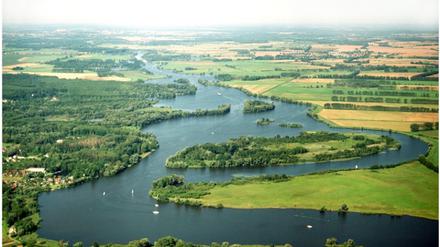 Havel