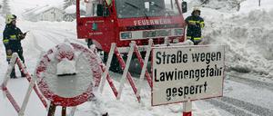 245109_0_178d5db7.jpeg