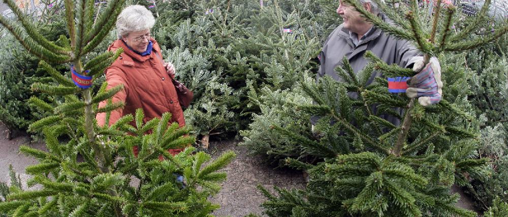 Weihnachtsbaum