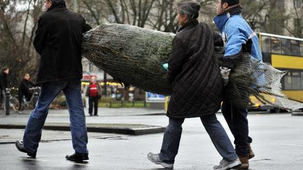 Weihnachtsbaum