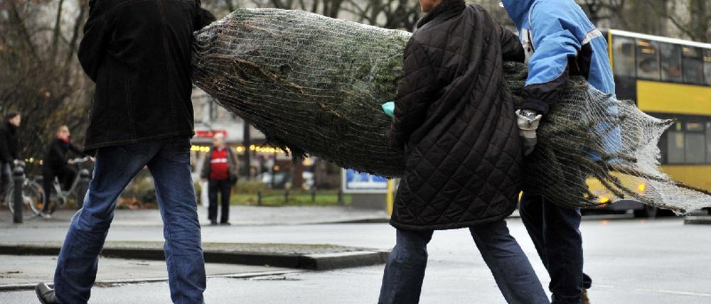 Weihnachtsbaum