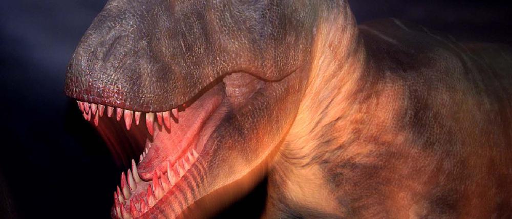 Tyrannosaurus rex