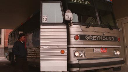 greyhound mord