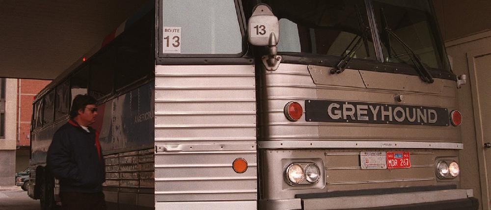 greyhound mord