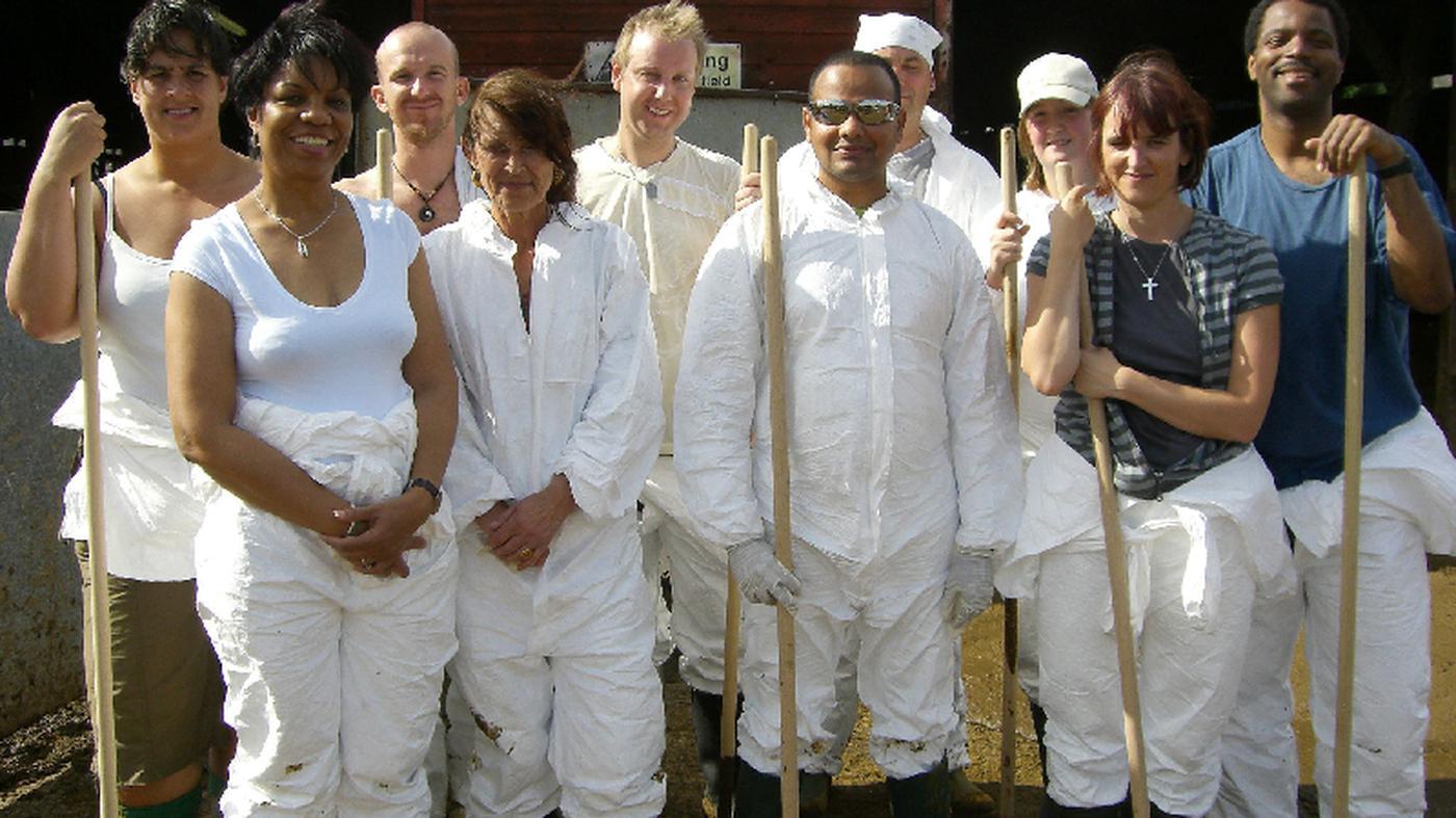 Fernsehen Irren ist menschlich