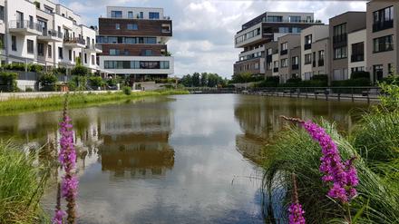 Das Neubaugebiet „52° Nord“ in Grünau gilt als Vorbild beim Management des Wassers. Der Regen von den Dächern fließt in ein Becken, das das Mikroklima verbessert. 