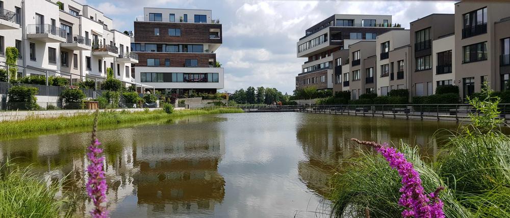 Das Neubaugebiet „52° Nord“ in Grünau gilt als Vorbild beim Management des Wassers. Der Regen von den Dächern fließt in ein Becken, das das Mikroklima verbessert.