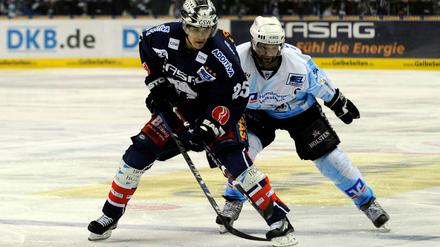 EHC Eisbaeren Berlin - Hamburg Freezers