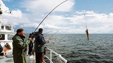 268075_3_xio-fcmsimage-20090403164330-006002-49d620923066b.heprodimagesfotos812220090405reiostsee.jpg