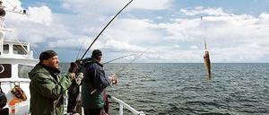 268075_3_xio-fcmsimage-20090403164330-006002-49d620923066b.heprodimagesfotos812220090405reiostsee.jpg