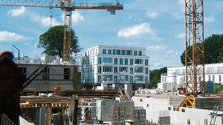 277406_0_ad3d2f59.jpg