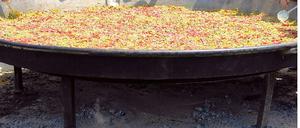 279086_0_4e31279d.jpg